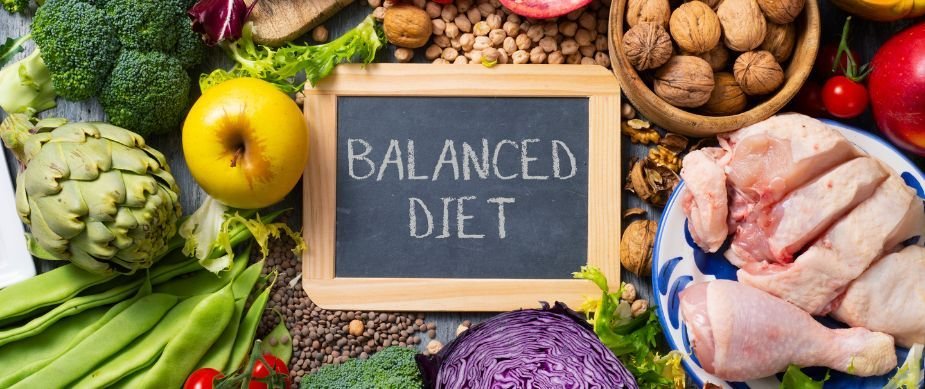 Daily Food Calorie Guide for Balanced Nutrition