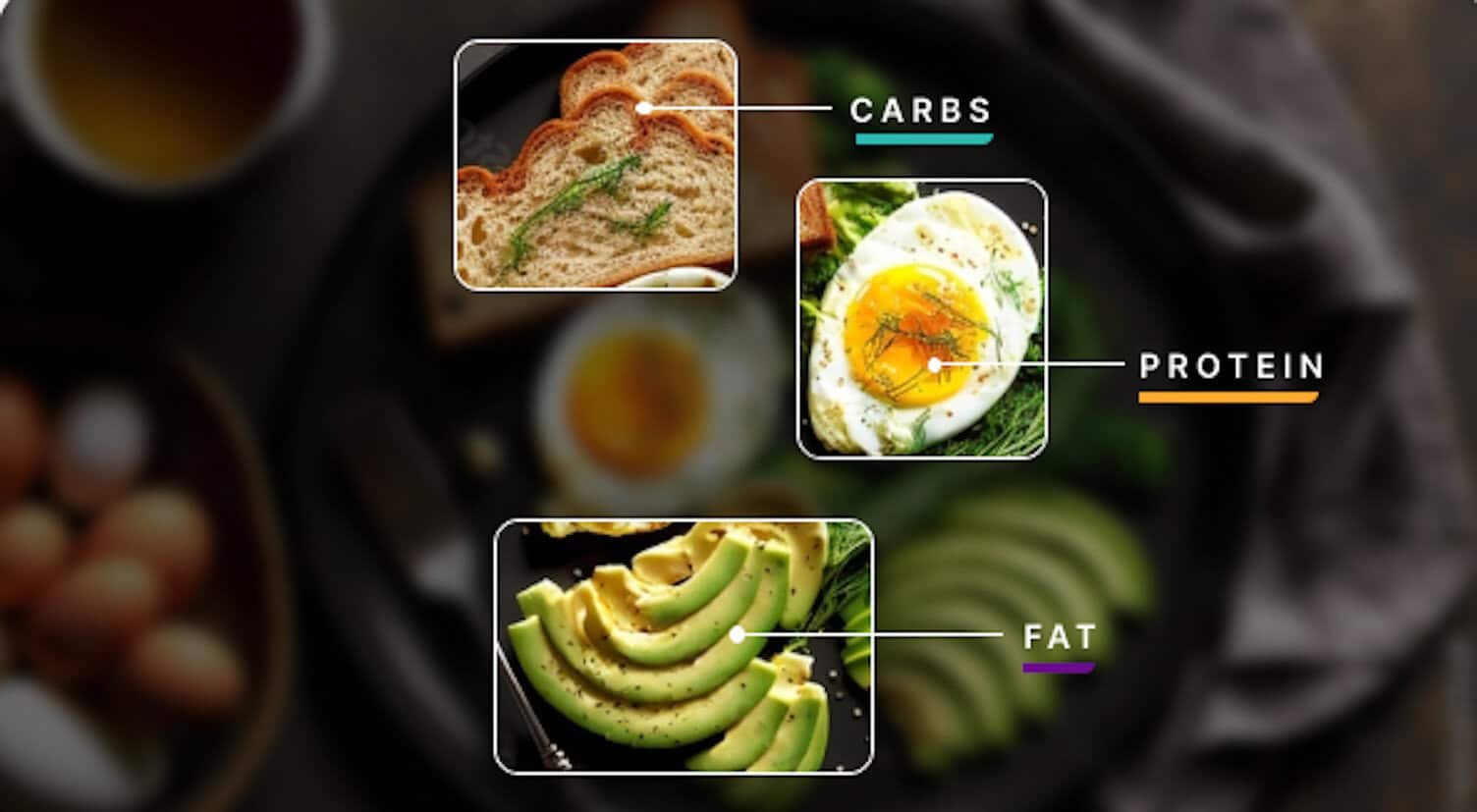 Macro Split Calculator for Your Fitness and Diet Goals